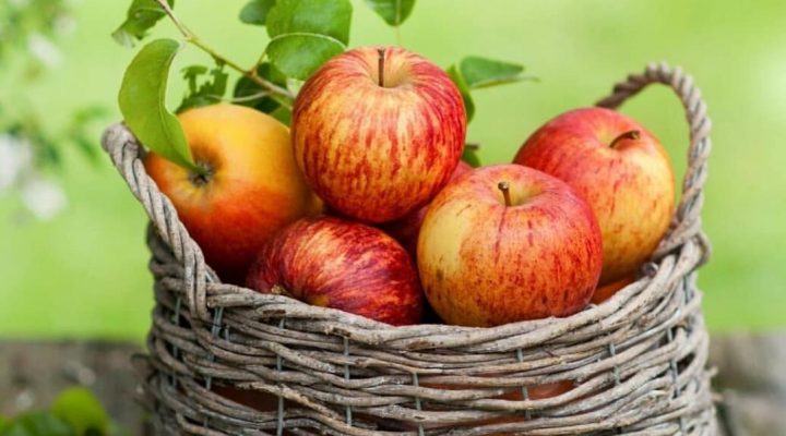 آیا میدانستید ۷۵۰۰ نوع سیب وجود دارد؟