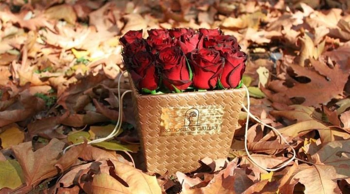 جعبه گل رز، مناسب برای هدیه دادن