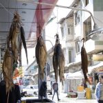 بازار ماهی فروشها 1
