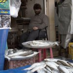 بازار ماهی فروشها 10